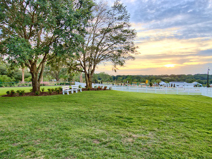 picnic in the park lady lake