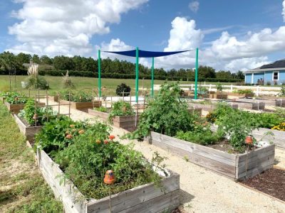 Community Garden
