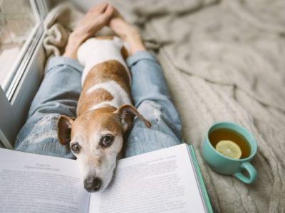 Family-Friendly Books